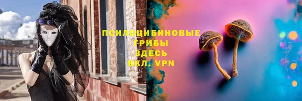 не бодяженный Протвино