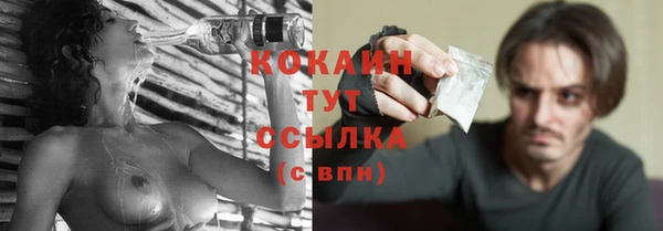 тгк Арсеньев